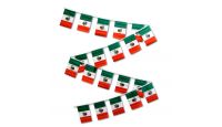 Set of 20 Mexico 12x18in Flags On 30ft String