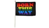 Born This Way Stick Flag 12in by 18in on 24in Wooden Dowel