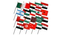 Set of 20 Middle East Flags (4x6in)