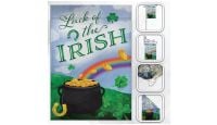 H&G Studios Luck of the Irish Printed Polyester Flag 12in by 18in with close ups of material and on pole
