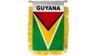 Guyana Mini Banner