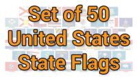 12x18in Set of 50 State Stick Flags