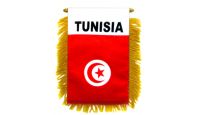 Tunisia Mini Banner