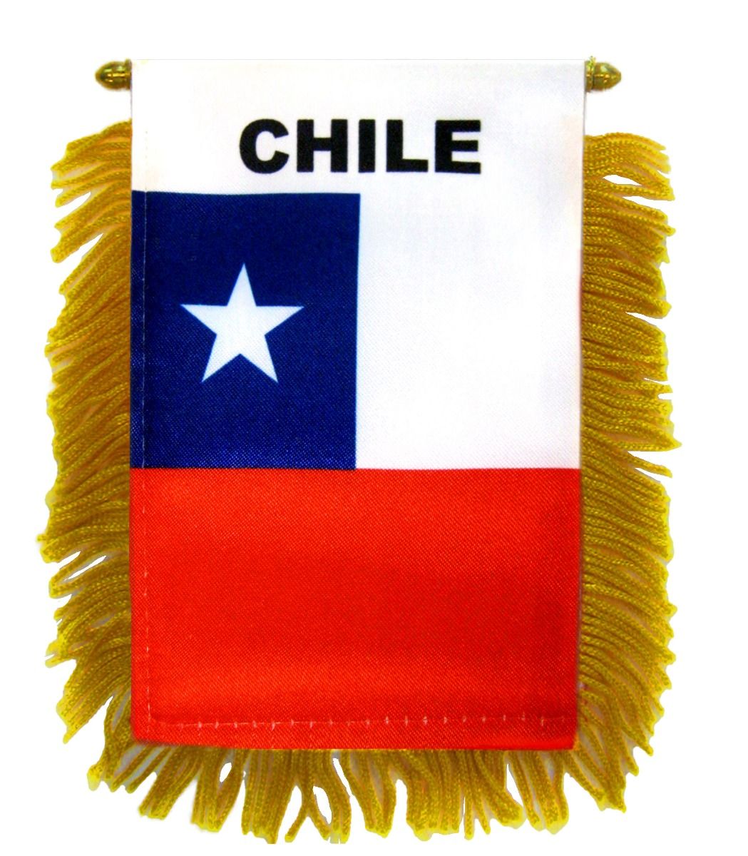 ZXvZYT Chile Chilean Flag Banner String,Small Mini Chile Pennant flags,For Grand Opening,Olympics,National Sports Events,Party Festival Decorations 50 Feet 38 Flags 