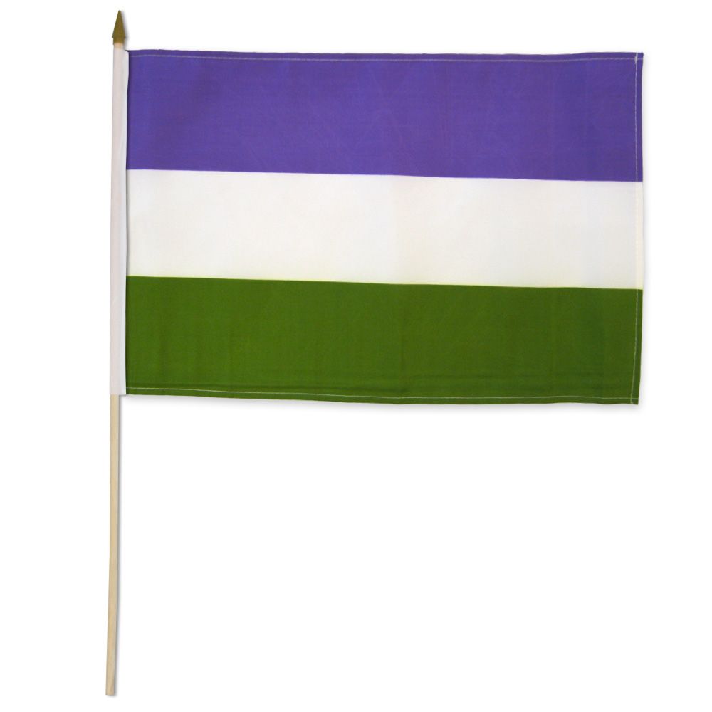 12x18 12"x18" Wholesale Lot of 12 Gay Pride Asexual Stick Flag wood staff