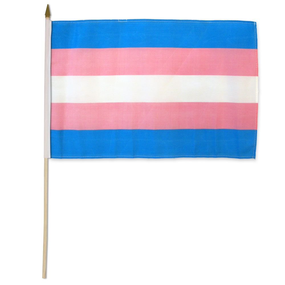 12x18 12"x18" Wholesale Combo Gay Pride trans bi Gender Pan Rainbow 6 Stick Drapeau 